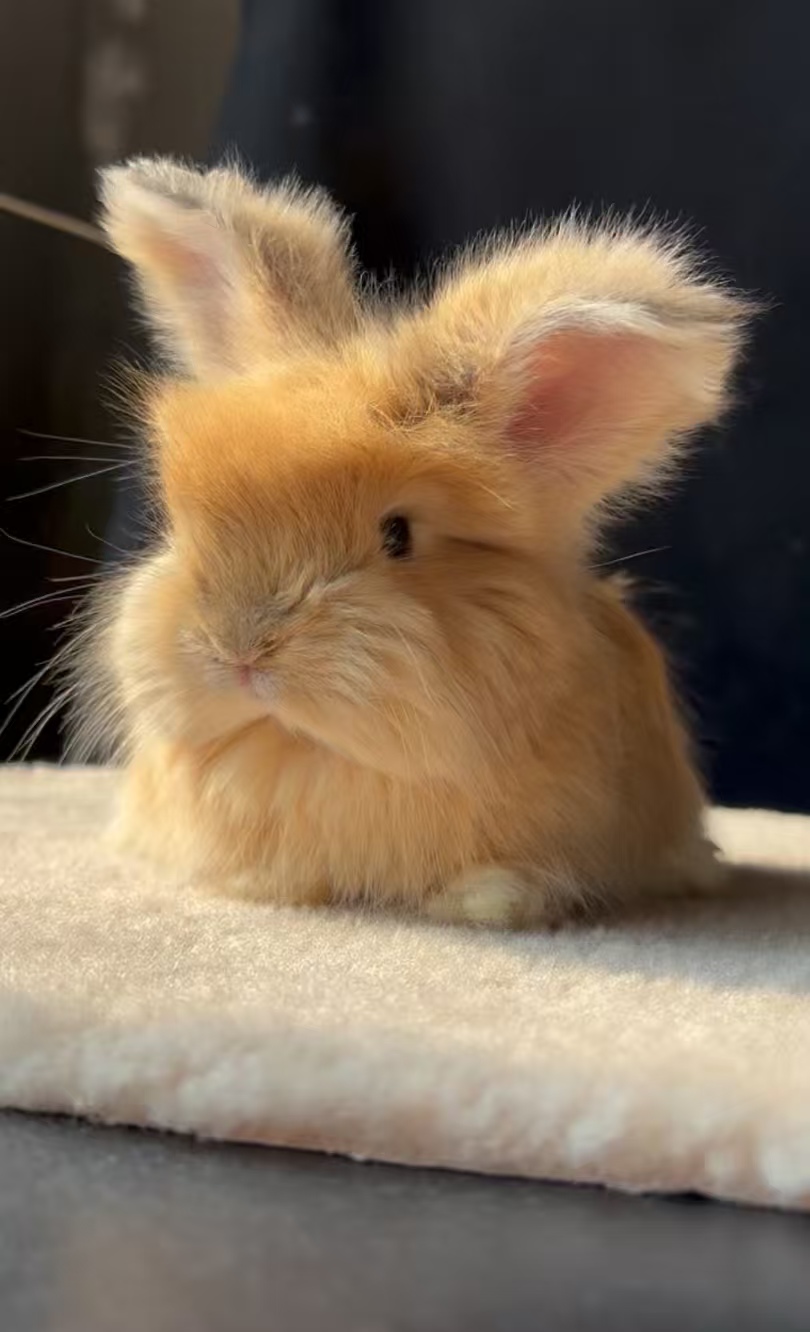 生活与陪伴